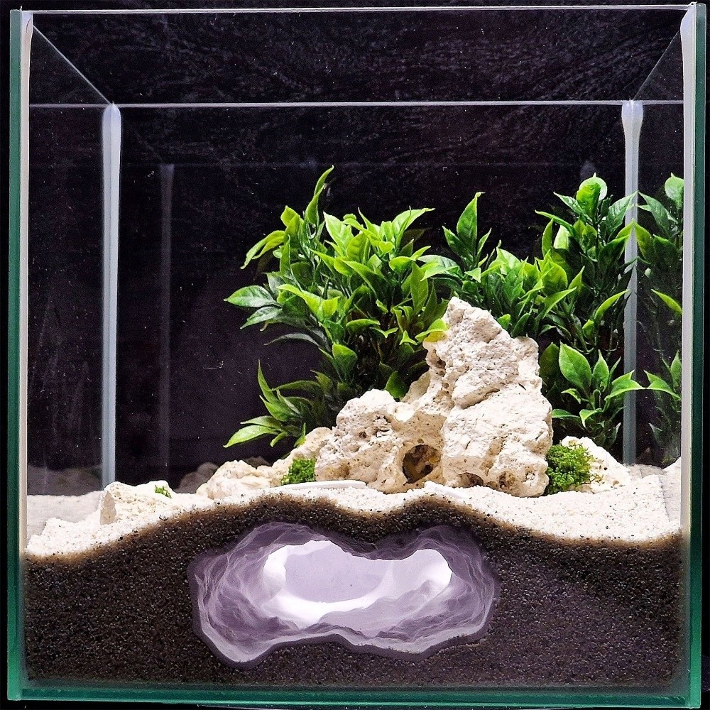 Aquarium Fish Reproduction - حوض أسماك محاكي للواقع بدرجة عالية،
