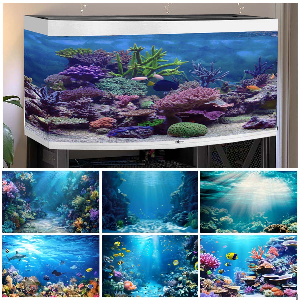 Aquarium Fish World - خلفيات العالم تحت الماء للصور على