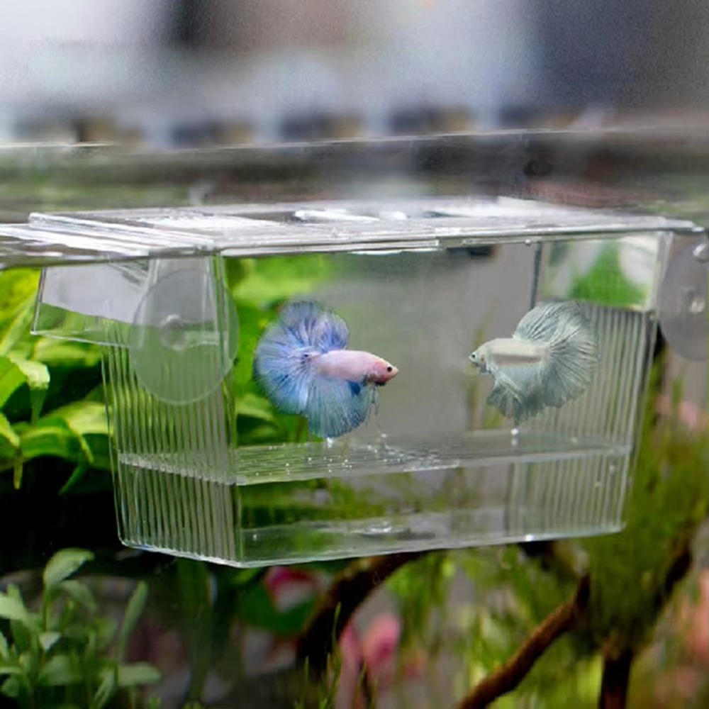 Aquarium Fish Reproduction - حوض سمك أكريليك جديد، حاضنة تربية،