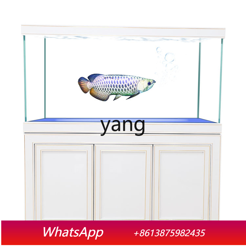 Aquarium Fish Dragon - حوض سمك التنين الزجاجي فائق البياض