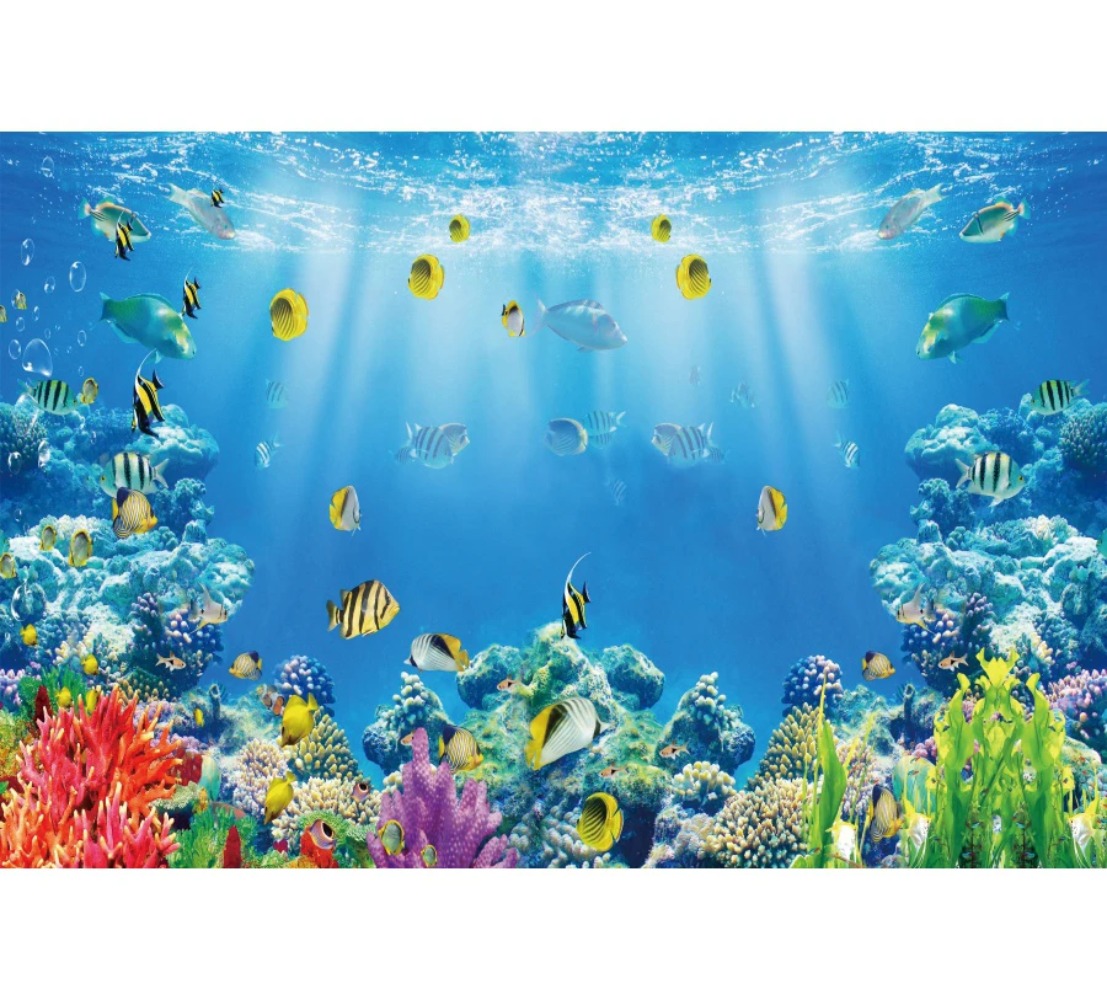 خلفية تصوير بتصميم عالم تحت ال - مراجعة Aquarium Fish World وسعره