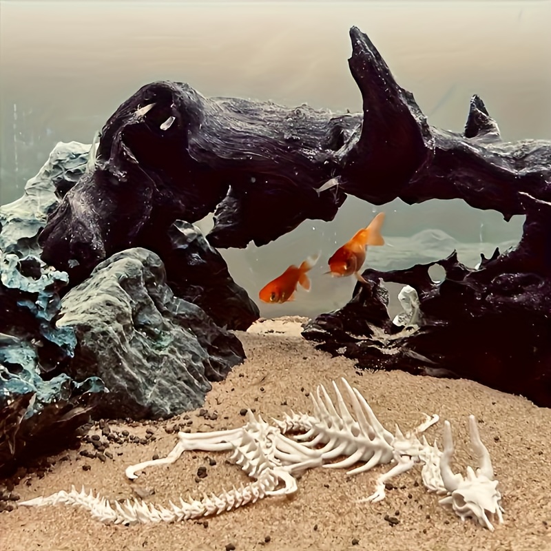 قطعة واحدة: زينة حوض السمك على - مراجعة Aquarium Fish Dragon وسعره