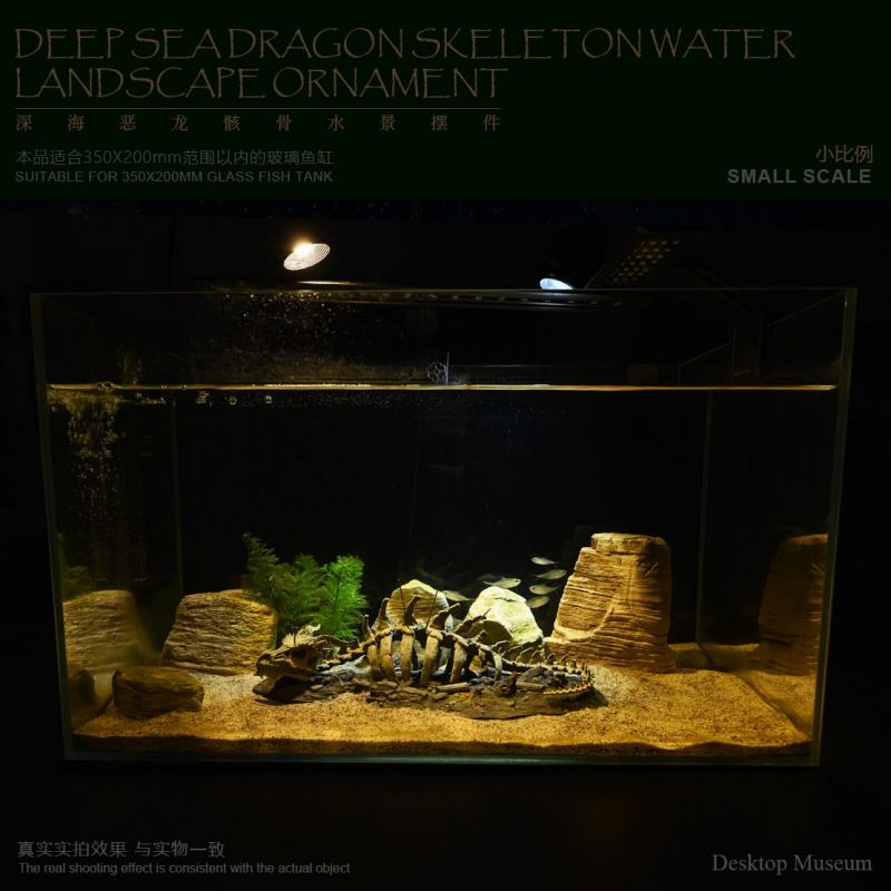 زينة حوض السمك على شكل عظام ال - مراجعة Aquarium Fish Dragon وسعره