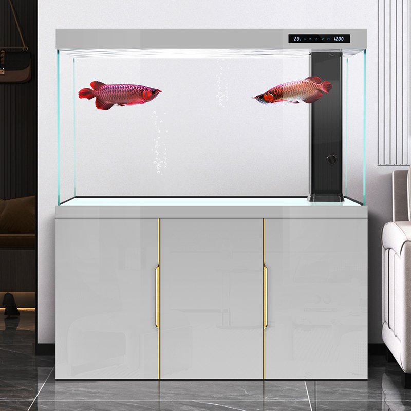 خزان الأسماك غرفة المعيشة 2025 - مراجعة Aquarium Fish Dragon وسعره