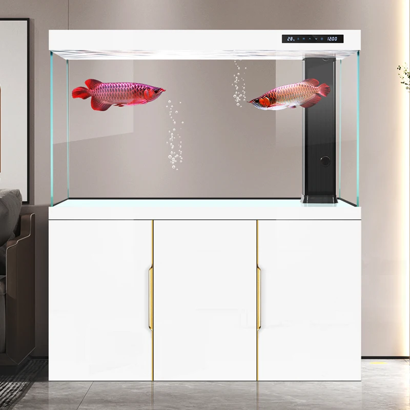 خزان الأسماك غرفة المعيشة 2025 - مراجعة Aquarium Fish Dragon وسعره