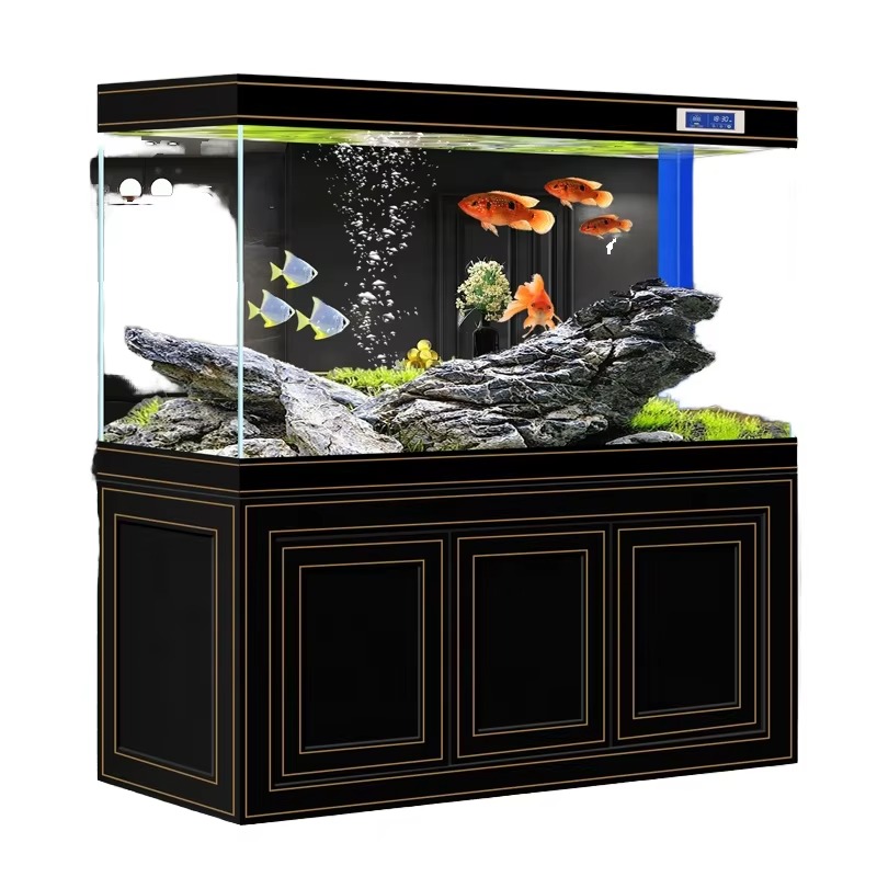 حوض سمك زجاجي فائق الوضوح للمن - مراجعة Aquarium Fish Dragon وسعره