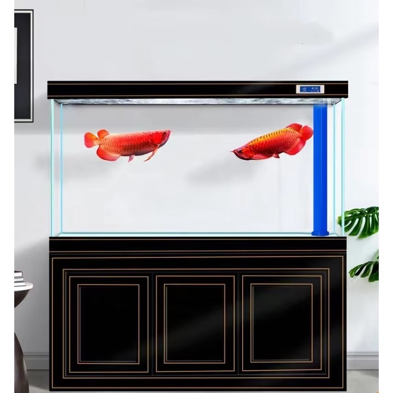 حوض سمك زجاجي فائق الوضوح للمن - مراجعة Aquarium Fish Dragon وسعره