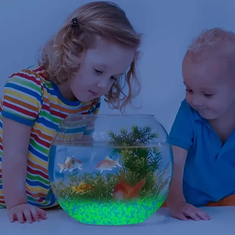 1000 قطعة 3-5 مللي متر مضيئة ا - مراجعة Aquarium Fish Land وسعره