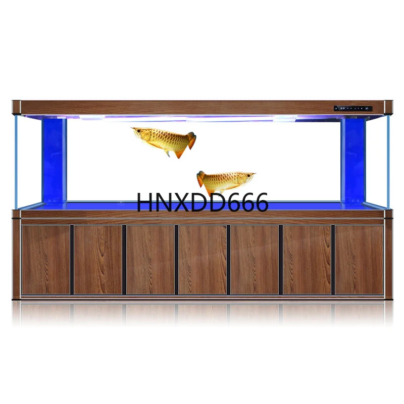 حوض أسماك كبير يحتوي على تنين  - مراجعة Aquarium Fish Dragon وسعره