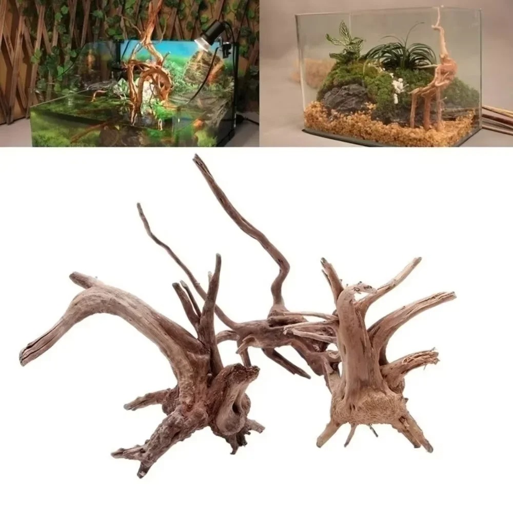 ديكور حوض السمك من الخشب الطبي - مراجعة Aquarium Fish Land وسعره