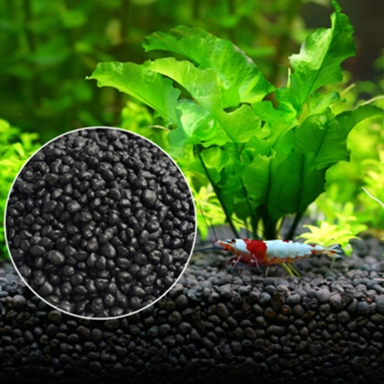 نباتات أحواض السمك ، التربة ،  - مراجعة Aquarium Fish Land وسعره