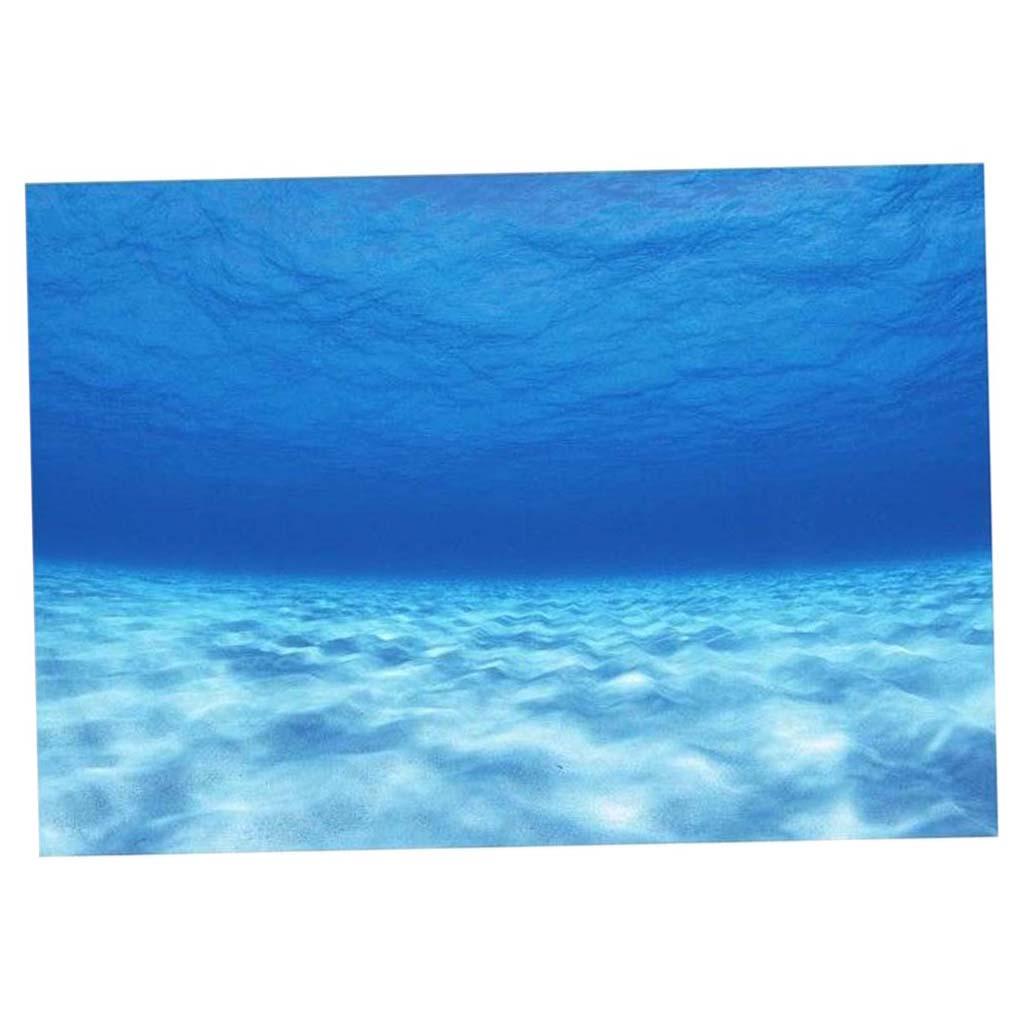 الجانب الزخرفية حوض السمك خلفي - مراجعة Aquarium Fish World وسعره