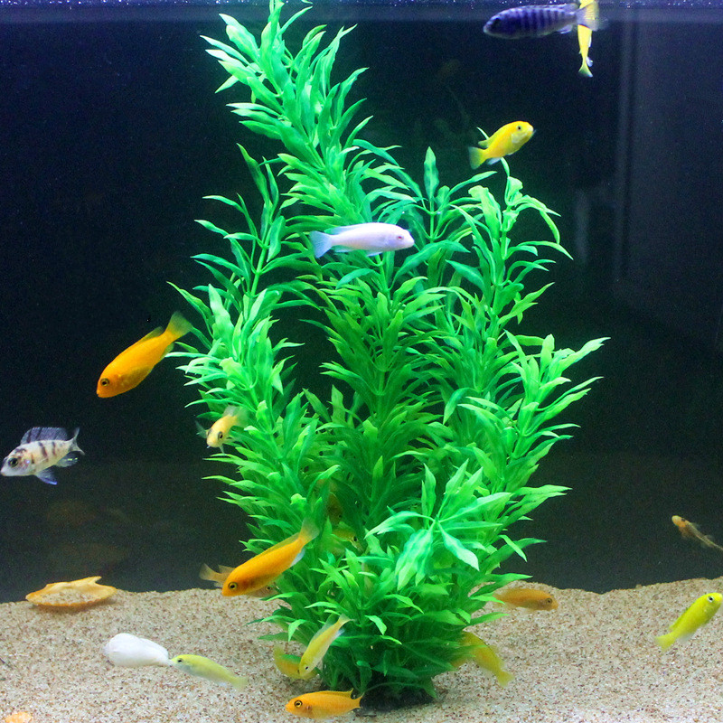 نباتات اصطناعية نادرة لأحواض ا - مراجعة Aquarium Fish Land وسعره