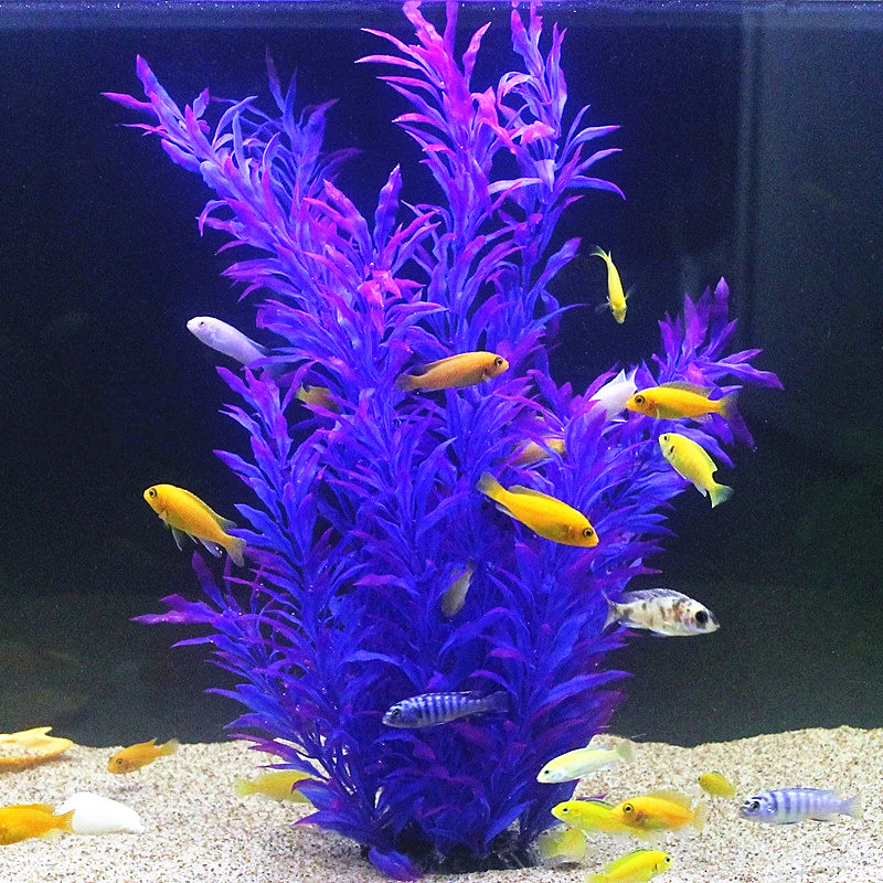 نباتات اصطناعية نادرة لأحواض ا - مراجعة Aquarium Fish Land وسعره