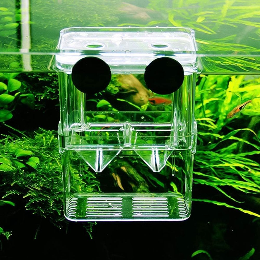 صندوق تربية أسماك متعدد الوظائ - مراجعة Aquarium Fish Reproduction وسعره