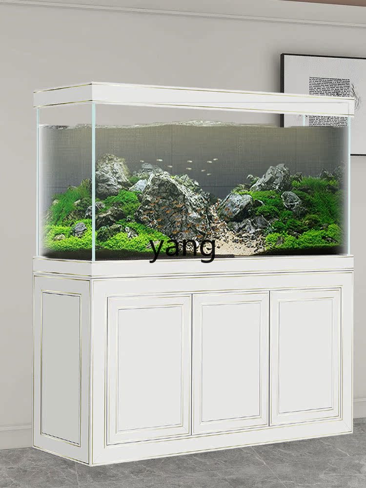 حوض سمك التنين الزجاجي فائق ال - مراجعة Aquarium Fish Dragon وسعره